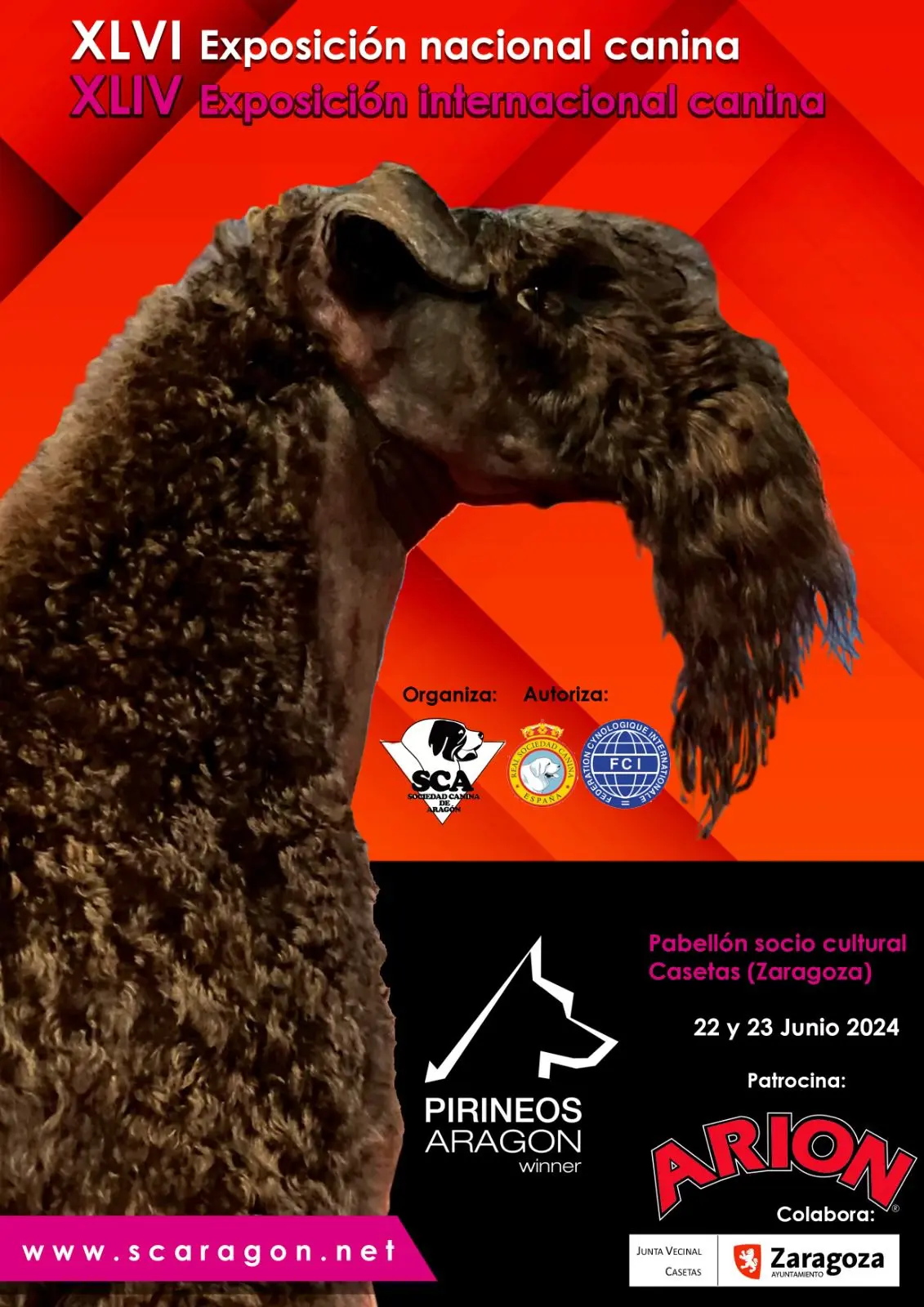 Exposición Nacional SCA 2025